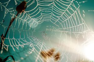 Z世代が副業でwebデザインを学び、稼げるまでのステップは？