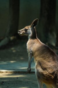 Z世代が副業を続かない理由とは？