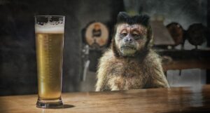 Photoshopを使った動画編集で副業を始める初学者におすすめの方法は？