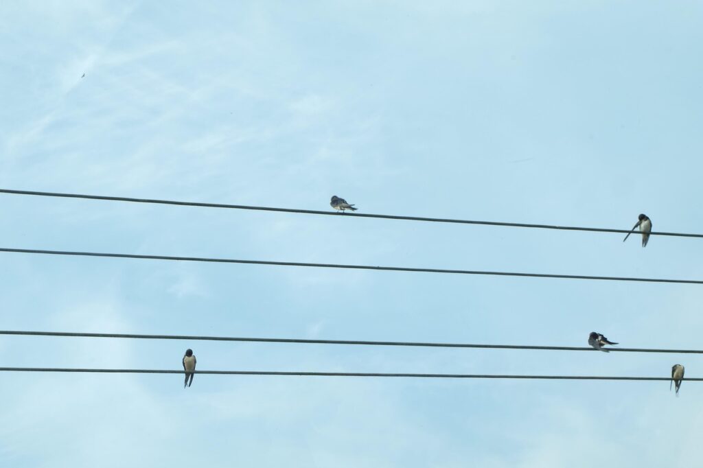 Twitterで収益を得るための副業方法は？