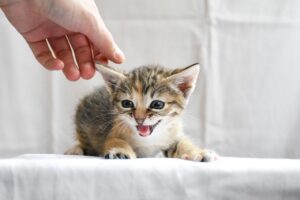 タイムチケットを使った収益を上げる方法は？