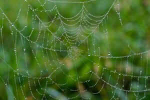 Webデザインの副業を始めるためのステップは？