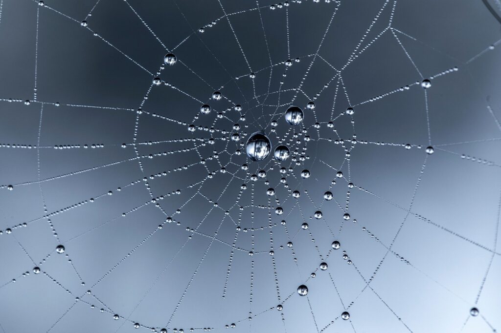 Webマーケを活用した副業の収益化方法とは？